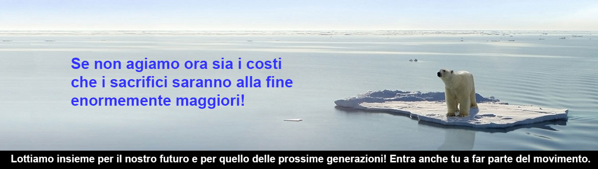 Orso Polare